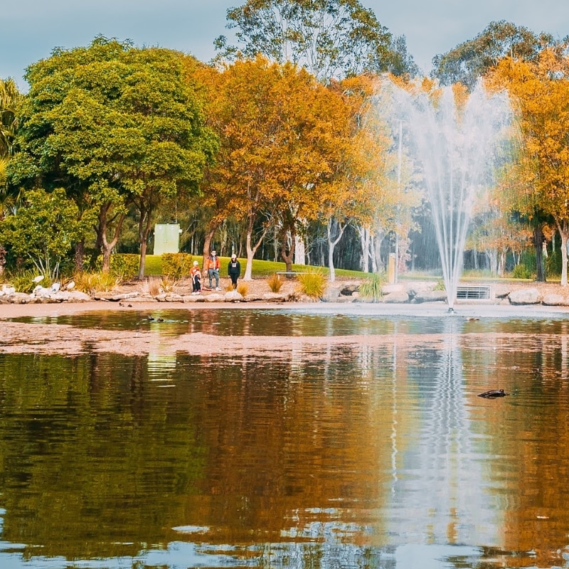 Scenic park with fountain, trees, and people enjoying outdoor space as part of town planning.